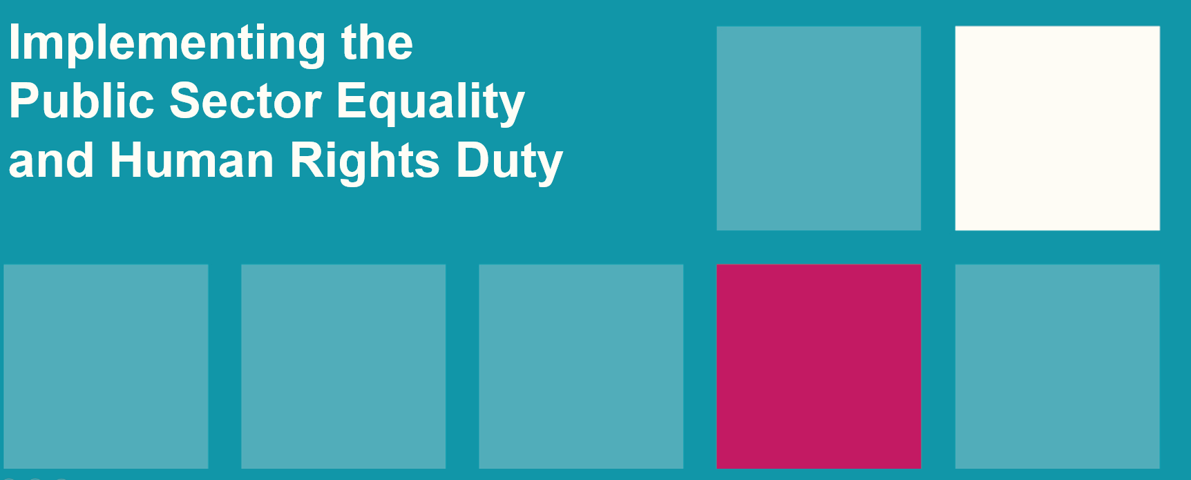 Implementing the Public Sector Equality and Human Rights Duty
