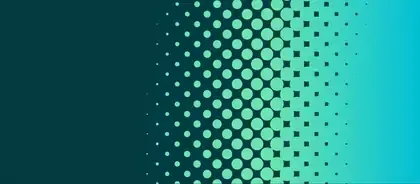 Amicus curiae guidelines